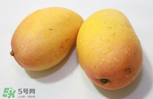 芒果哪里的最好吃？芒果哪種品種好吃？