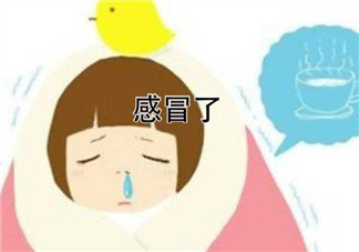 為什么總是感冒？總是感冒怎么回事？