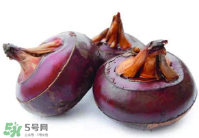 枇杷可以和荸薺一起煮水嗎？枇杷和荸薺能一起吃嗎？