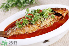 枇杷和魚能一起吃嗎？吃完魚可以吃枇杷嗎？