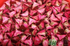 3月份的菱角可以吃嗎？菱角什么時候吃最好？