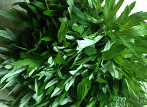 清明草是艾草嗎？清明菜是什么草？