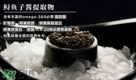 至本是什么牌子？至本什么檔次？