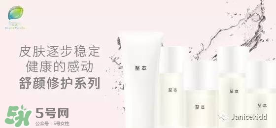 至本是什么牌子？至本什么檔次？
