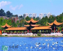 4月份去昆明穿什么？四月份去昆明穿什么衣服？