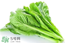春分要吃春菜嗎？春分為什么要吃春菜？