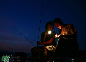 春分能夜釣嗎？春分能釣鯉魚嗎？