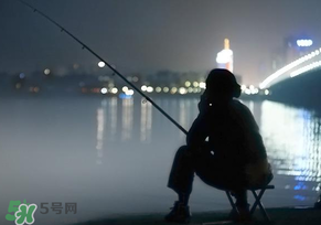 春分能夜釣嗎？春分能釣鯉魚嗎？