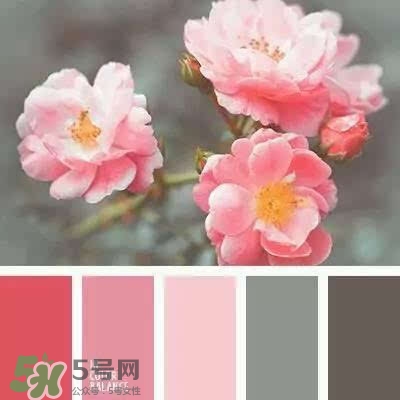粉色口紅哪個牌子好？粉色口紅推薦