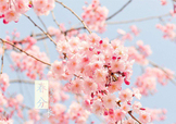 春分吃什么？春分吃什么會(huì)更加健康？