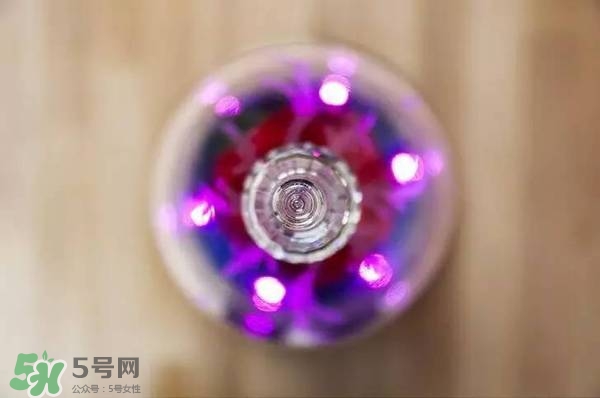 camino美女與野獸音響多少錢？camino玫瑰藍牙音箱價格