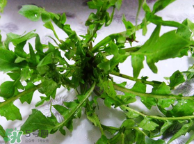春天吃薺菜好嗎？春天吃薺菜有什么好處？