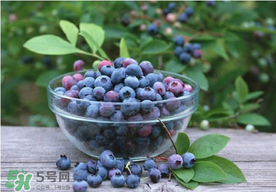 藍(lán)莓一天吃多少為宜？藍(lán)莓每天吃多少合適？