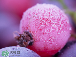藍(lán)莓變紅可以吃嗎？藍(lán)莓發(fā)紅是壞掉了嘛？