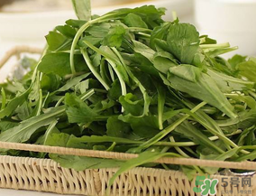 薺菜有毒嗎？吃薺菜會(huì)中毒嗎？