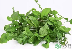 薺菜有毒嗎？吃薺菜會(huì)中毒嗎？