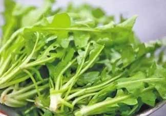 便秘能吃薺菜嗎？便秘可以吃薺菜嗎？