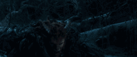 野獸派美女與野獸水晶球多少錢？野獸派音樂(lè)水晶球價(jià)格