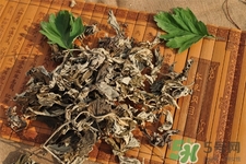 艾草是哪個季節(jié)的？艾草是什么季節(jié)采摘？