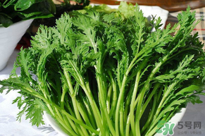 皇帝菜是茼蒿嗎？皇帝菜和茼蒿的區(qū)別