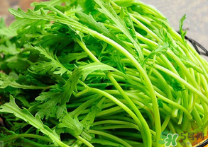 皇帝菜是茼蒿嗎？皇帝菜和茼蒿的區(qū)別