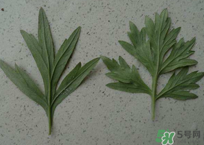 ?蒿子怎么去除苦味？?蒿子粑粑苦是什么原因？