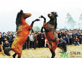三月三有什么禁忌？三月三有什么講究？