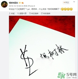 楊樹林口紅是什么牌子？楊樹林口紅是哪個國家的？