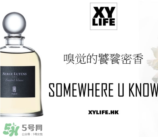 serge lutens蘆丹氏香水哪款好聞？鹵蛋蘆丹氏香水推薦