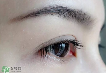 serge lutens蘆丹氏睫毛膏怎么樣？蘆丹氏睫毛膏好不好用？