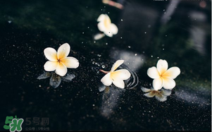 三月份為什么一直下雨？2017年三月份為什么雨多？