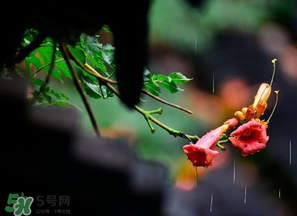 2017年梅雨季節(jié)是幾月？2017年梅雨季節(jié)是什么時候？