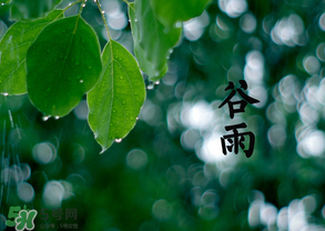 2017年谷雨是幾月幾號(hào)？2017年谷雨是哪一天？