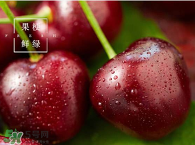 美早櫻桃多少錢一斤？美早櫻桃多少錢一斤2017？