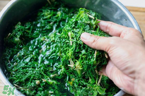 薺菜怎么腌制？薺菜的腌制方法