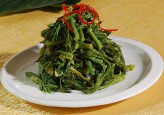 蕨菜什么人不能吃？哪些人不能吃蕨菜？