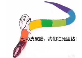 七彩皮皮鱔我們往死里鉆是什么意思？七彩皮皮鱔我們?nèi)€(gè)好地方是什么意思？