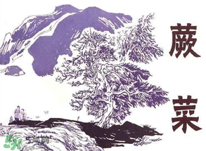 吃蕨菜會過敏嗎？皮膚過敏能吃蕨菜嗎？