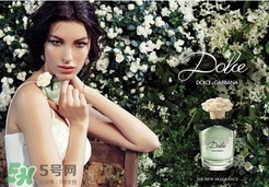 dolce gabanna香水哪款好聞？DG杜嘉班納香水推薦