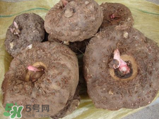 魔芋什么味道？怎么去除魔芋味道？