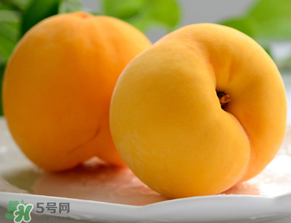黃桃為什么那么貴？黃桃為什么這么貴？