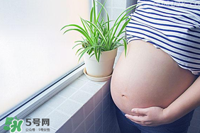 孕婦可以做美甲嗎？美甲對孕婦有什么影響？