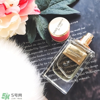 dolce gabanna香水哪款好聞？DG杜嘉班納香水推薦