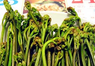蕨菜有毒嗎？吃蕨菜會中毒嗎？