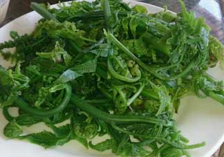 蕨菜是發(fā)物嗎？蕨菜是不是發(fā)物嗎？