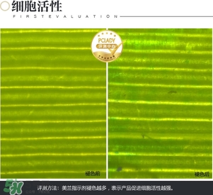 cpb保濕露多少錢？cpb保濕露專柜價(jià)格