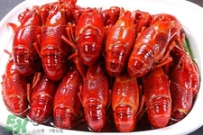 吃小龍蝦可以喝紅酒嗎？紅酒和龍蝦能一起吃嗎？