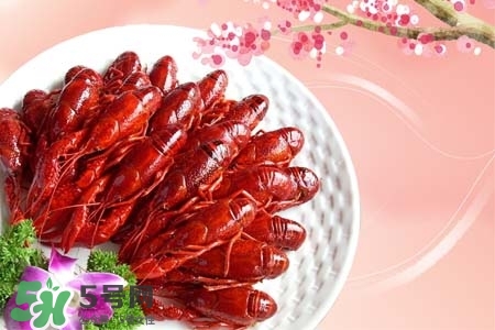 吃小龍蝦喝什么飲料？小龍蝦配什么飲料最好？