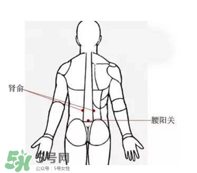 艾灸能減肥嗎？艾灸能不能減肥