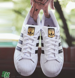 adidas貝殼頭正品多少錢？阿迪達(dá)斯貝殼頭鞋專柜價(jià)格